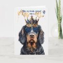 Search for setter cards Dogs