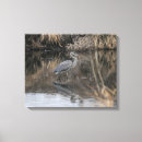 Search for wade canvas prints Nature