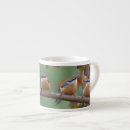 Search for twitcher mugs Ornithology