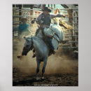 Search for broncs posters Riding