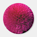 Search for macro flower magnets Pink