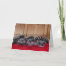 Search for february 2 cards Cute