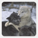 Search for winter snow wolf stickers Wildlife