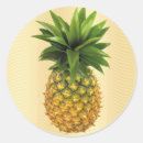 Search for fruit snack stickers Pineapple