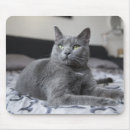 Search for green eyes mouse mats Grey
