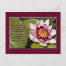 Search for lily pad postcards Flower