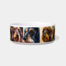 Search for sausage dog bowls Dachsie
