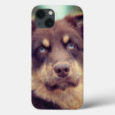 Search for australian shepherd cases Animal