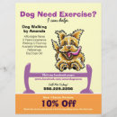 Search for train flyers Dog training