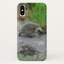 Search for hedgehogs cases Nature