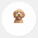 Search for funny labradoodle stickers Dogs