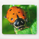 Search for ladybug mouse mats Whimsical