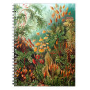 Search for conservation notebooks Jungle