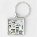 Search for winged skull key rings Wings