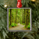 Search for olympic national park christmas tree decorations Forest