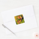 Search for birds of paradise stickers Floral