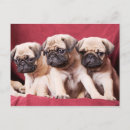 Search for triplet postcards Cute