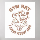 Search for rat posters Gym