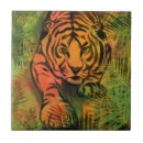 Search for attacking tiger Wild