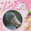 Search for beak plates Wildlife