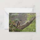 Search for canada note cards Wildlife