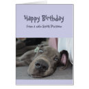 Search for 19 funny birthday cards Social distancing