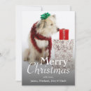 Search for sewing christmas cards Pets