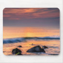 Search for new jersey mouse mats Cape may