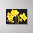 Search for yellow daffodil canvas prints Narcissus