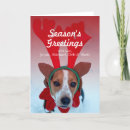 Search for cold temperature cards Humour