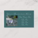 Search for drop leafs business cards Photography