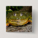 Search for toad square badges Nature