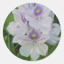 Search for botany stickers Bloom