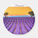 Search for provence magnets Souvenir