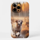 Search for hunting dogs iphone cases Animal
