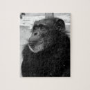 Search for gorrilla Gorilla
