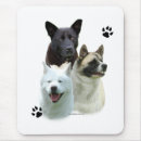 Search for akitas mouse mats Dog