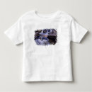 Search for falle toddler tshirts Rock