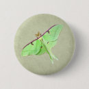 Search for moth badges Animals