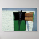 Search for stable posters Equine
