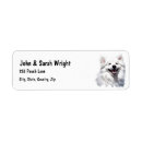 Search for samoyed return address labels Animal