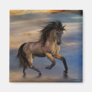 Search for buckskin magnets Equine
