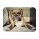 Search for portraits rectangular magnets Domestic animals