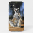 Search for lemur iphone cases Mammal