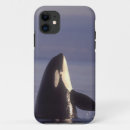 Search for killer whale iphone cases Wildlife
