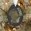 Search for australia christmas tree decorations Wildlife