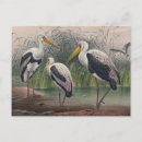 Search for wildlife art postcards Nature
