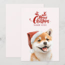 Search for shiba inu cards Cute