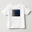 Search for strike force tshirts Flight