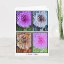 Search for panels cards Flowers